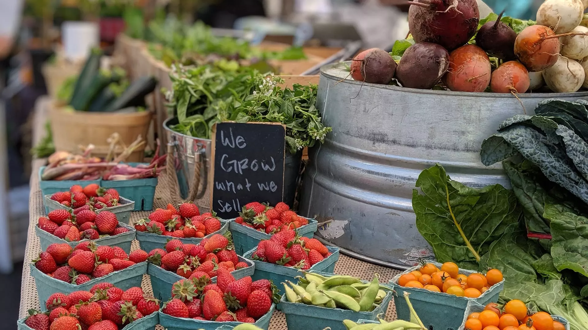 Discover the Charm of Hillcrest Farmers Market in San Diego